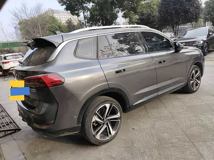 Фото 7 - Roewe RX5 Max