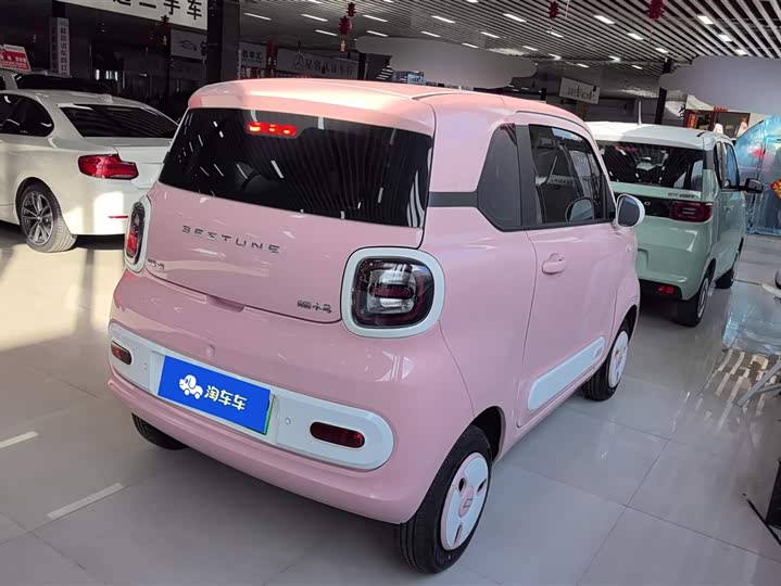 Фото 3 - Bestune Pony