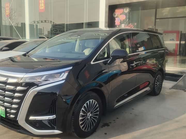 Фото 1 - Denza D9