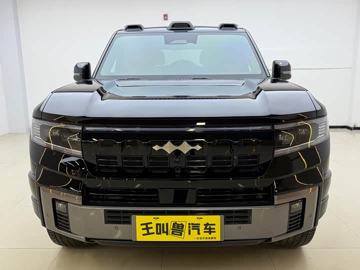 Фото 2 - BYD FangChengBao Leopard 8