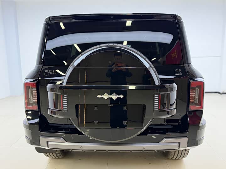 Фото 9 - BYD FangChengBao Leopard 8