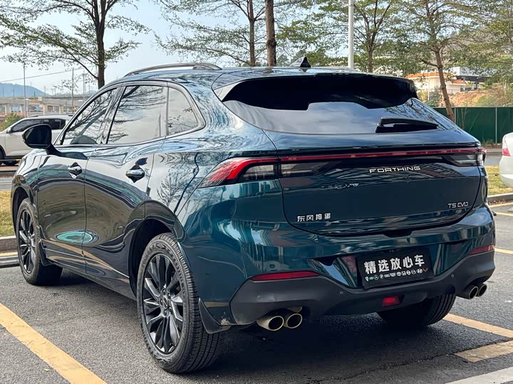 Фото 6 - Dongfeng Forthing T5 EVO