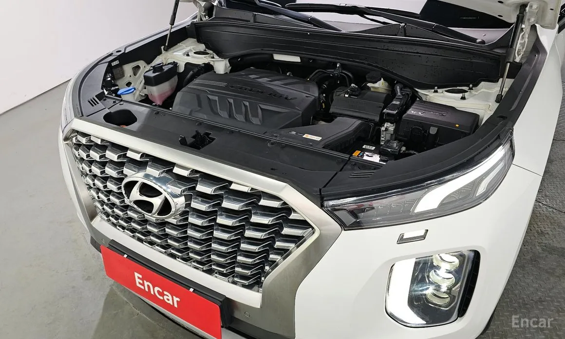 Photo 6 - Hyundai Palisade