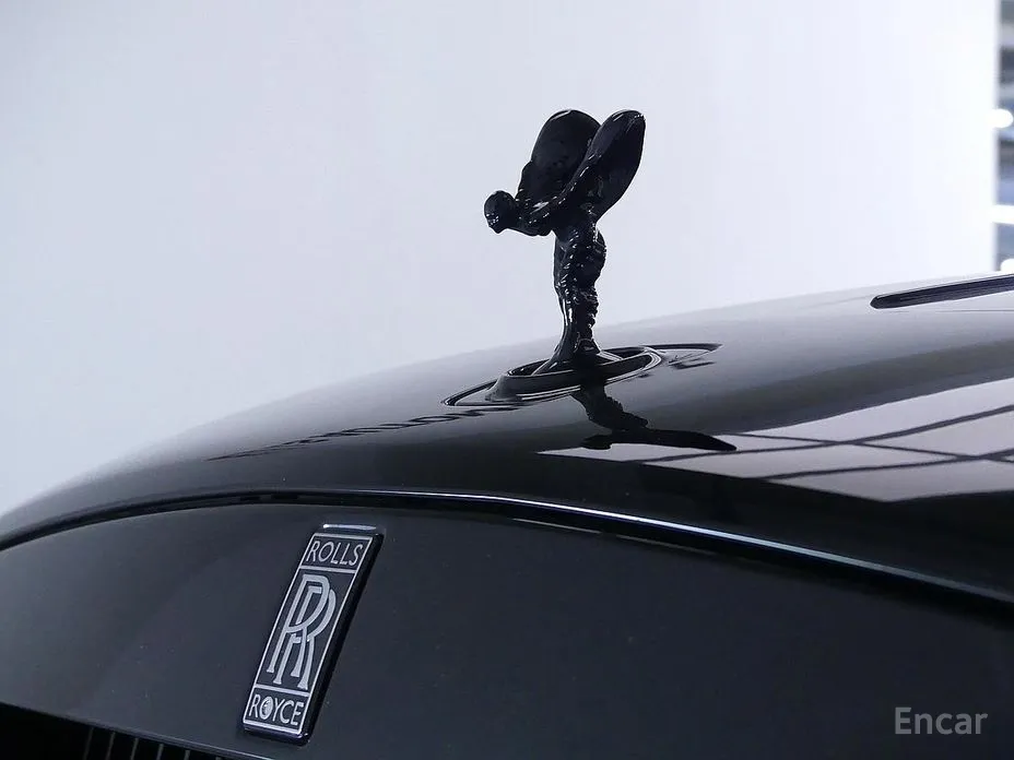 Фото 20 - Rolls-Royce Wraith