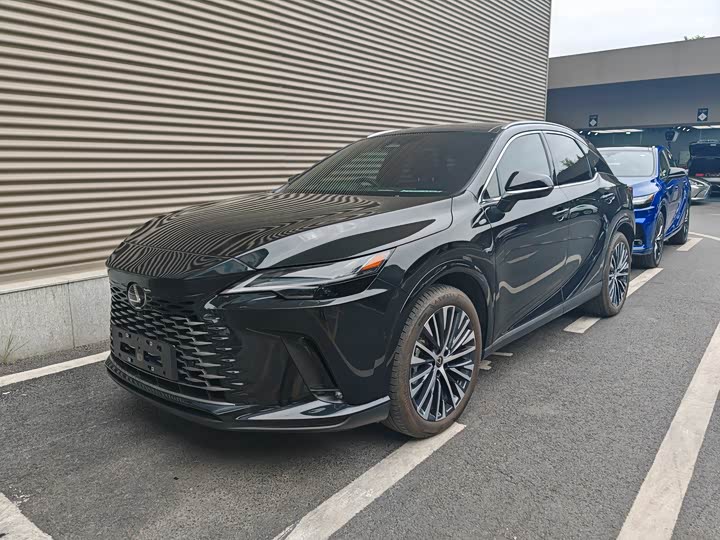 Фото 1 - Lexus RX Hybrid