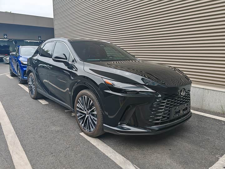 Фото 3 - Lexus RX Hybrid