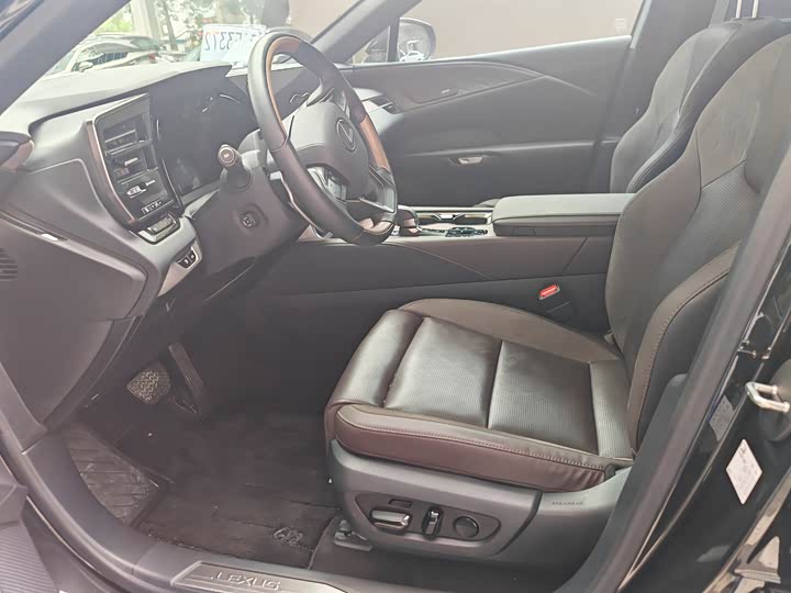 Фото 4 - Lexus RX Hybrid