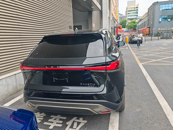 Фото 8 - Lexus RX Hybrid