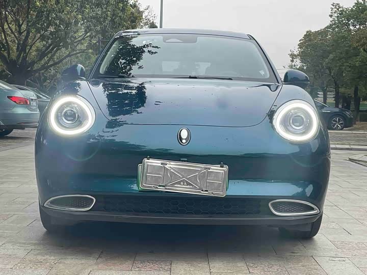 Фото 2 - Ora Good Cat (03)