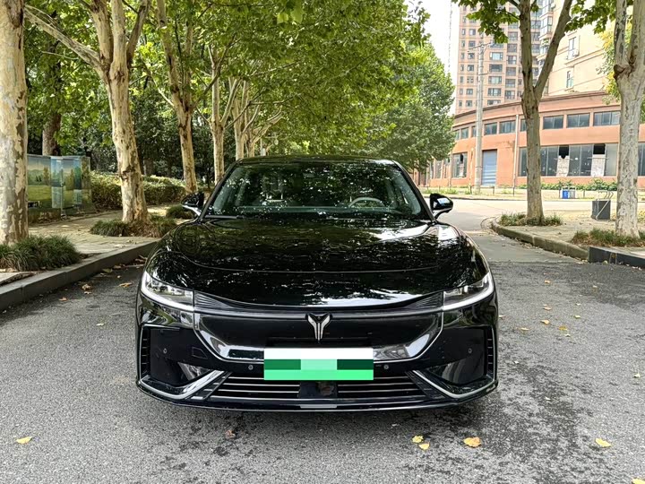 Photo 2 - Voyah Passion