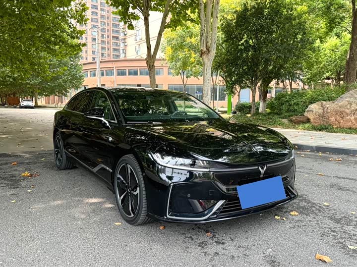 Photo 3 - Voyah Passion