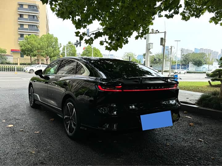 Photo 4 - Voyah Passion