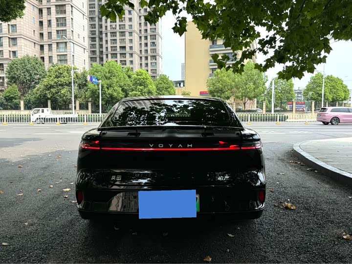 Photo 5 - Voyah Passion