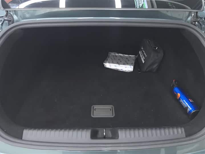 Фото 4 - XPeng P7