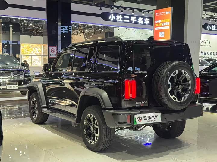 Фото 3 - Tank 300 Hybrid