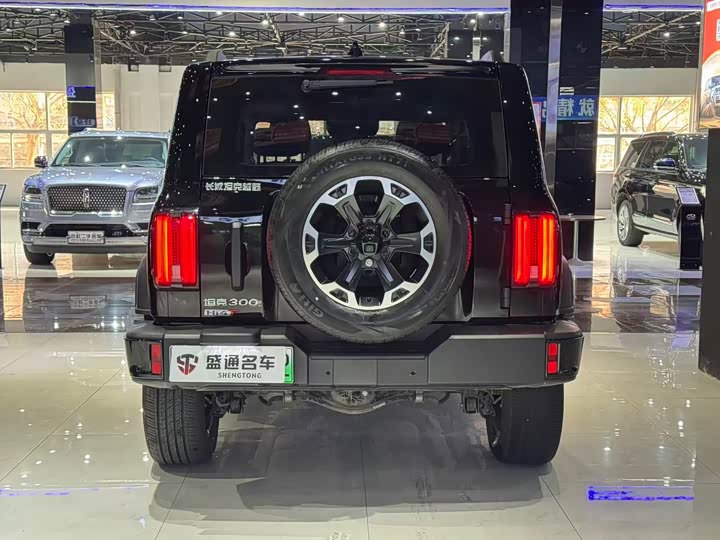 Фото 4 - Tank 300 Hybrid