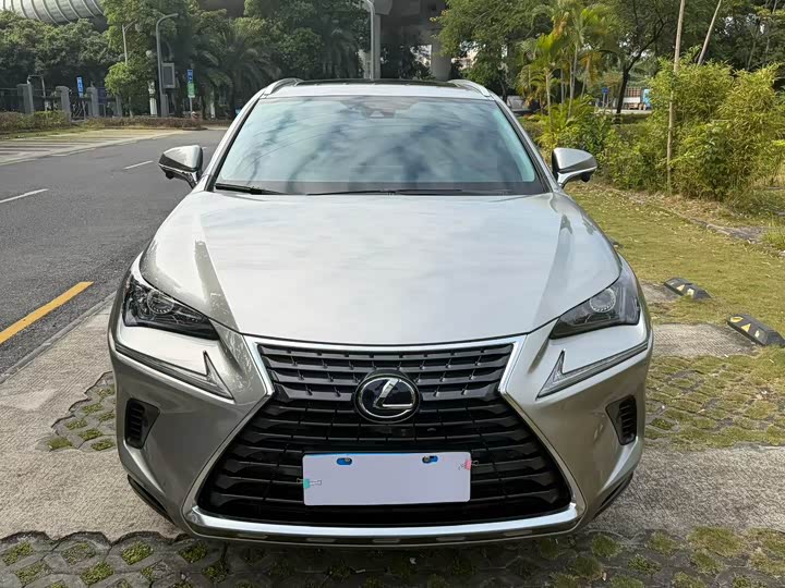 Фото 2 - Lexus NX