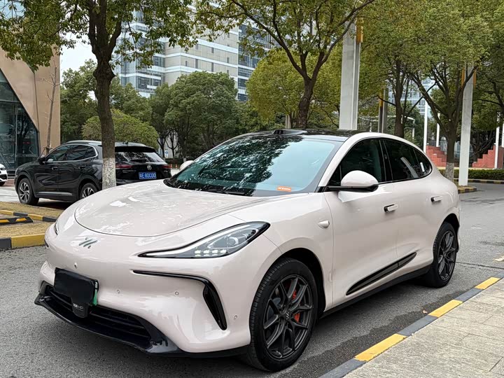 Фото 1 - IM motors LS6