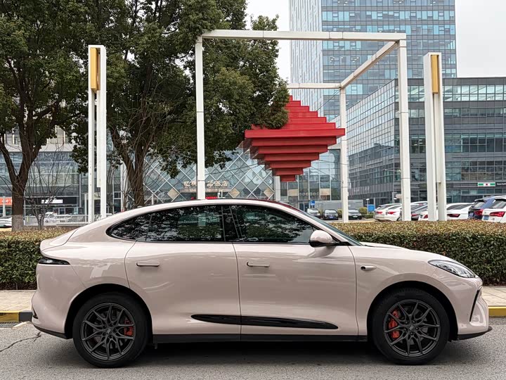 Фото 4 - IM motors LS6