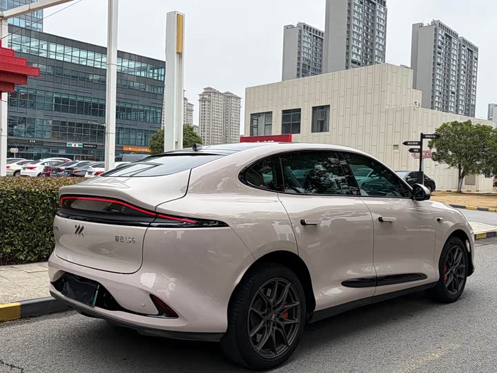 Фото 5 - IM motors LS6