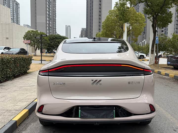 Фото 6 - IM motors LS6