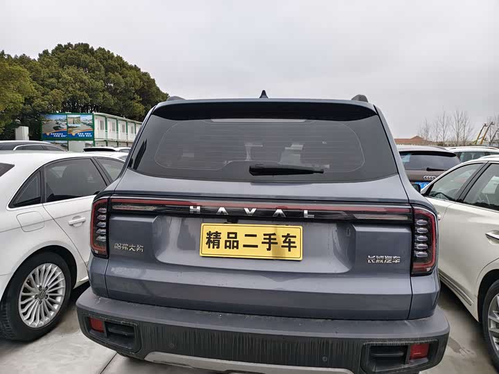 Фото 8 - Haval Dargo