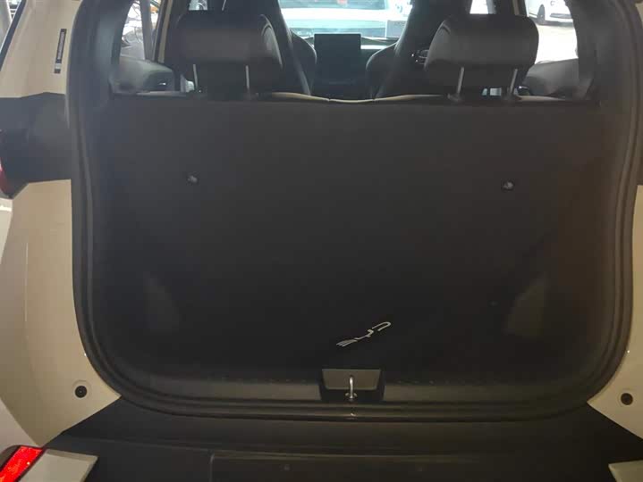 Фото 4 - BYD Seagull