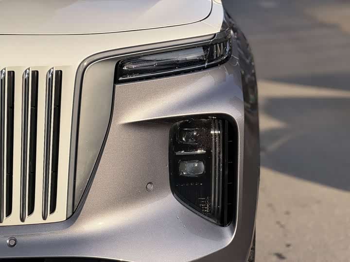 Фото 2 - Hongqi E-HS9