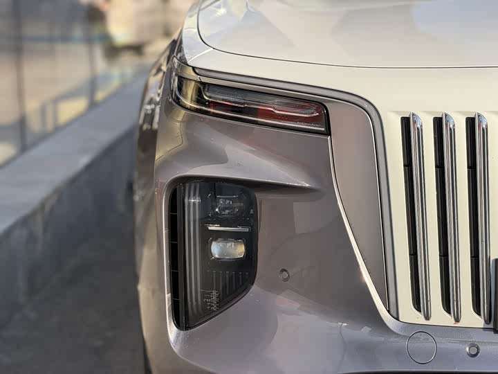 Фото 3 - Hongqi E-HS9