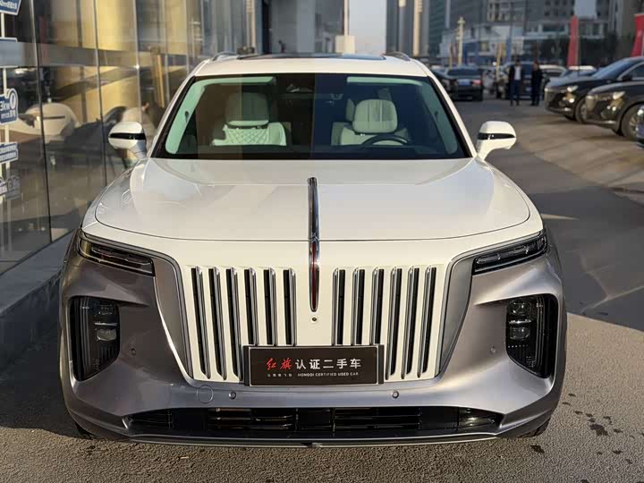 Фото 7 - Hongqi E-HS9