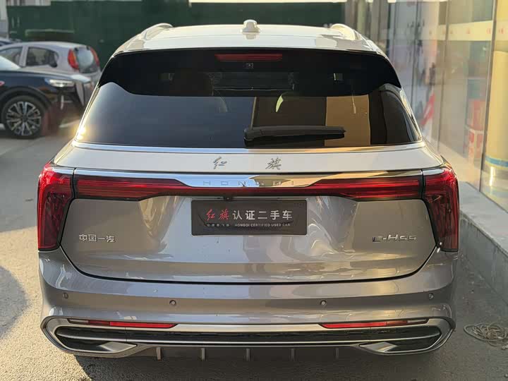 Фото 9 - Hongqi E-HS9