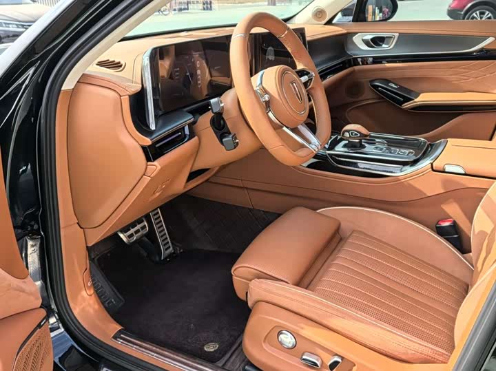 Фото 6 - Hongqi H9