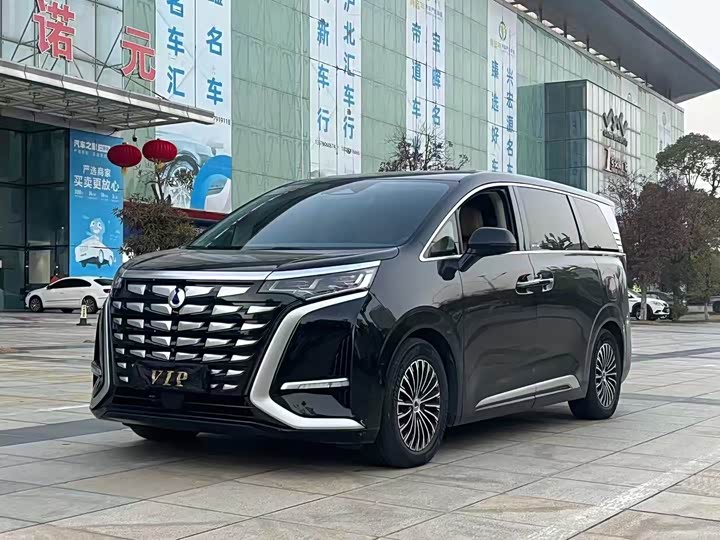 Фото 1 - Denza D9