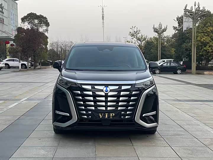 Фото 2 - Denza D9