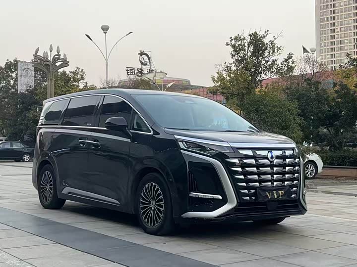 Фото 3 - Denza D9