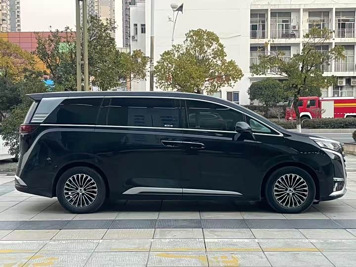 Фото 4 - Denza D9