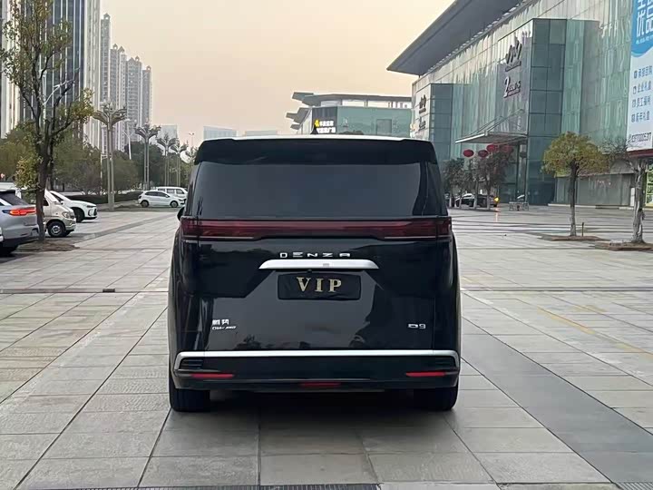 Фото 6 - Denza D9