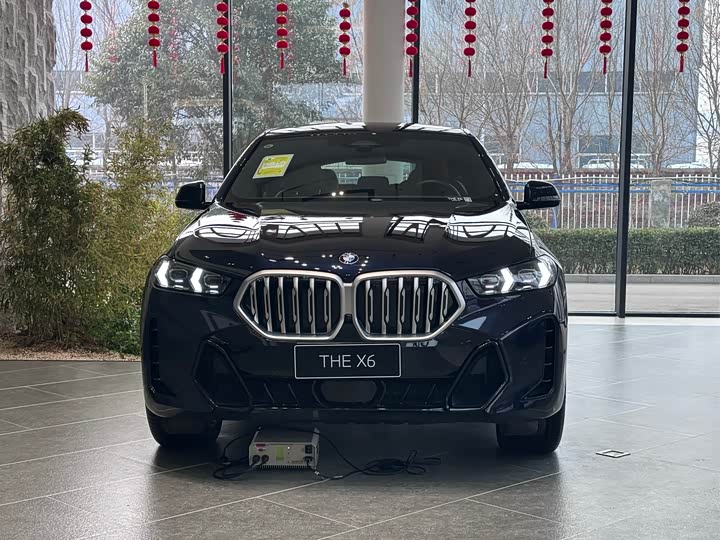 Фото 2 - BMW X6