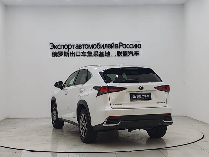 Фото 4 - Lexus NX
