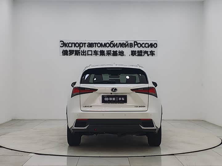 Фото 6 - Lexus NX