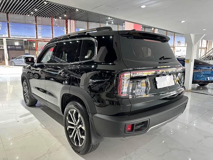 Фото 4 - Haval Dargo