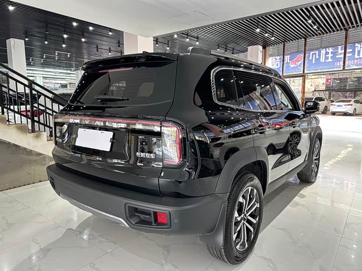 Фото 6 - Haval Dargo