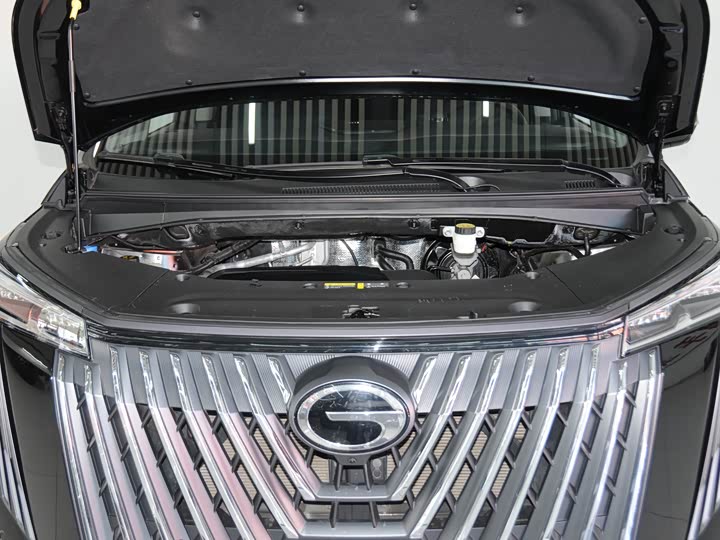 Фото 6 - GAC Trumpchi M8