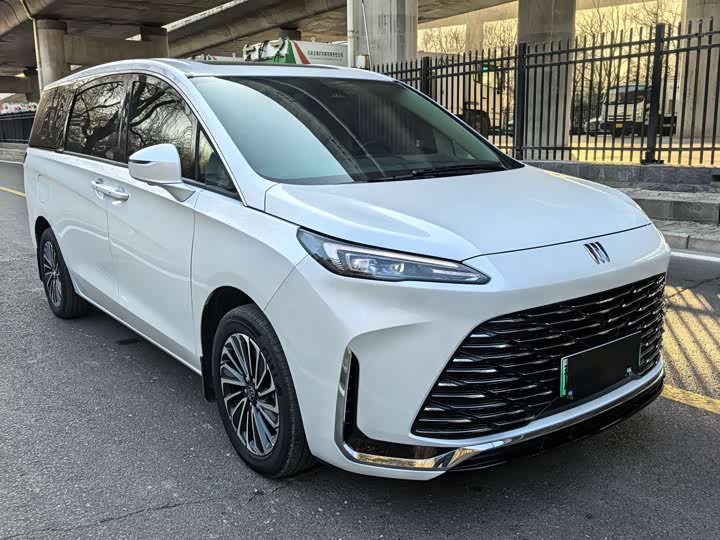 Фото 3 - Buick GL8 Hybrid