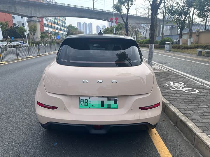 Фото 3 - Ora Good Cat (03)