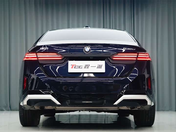 Фото 6 - BMW 5 Series