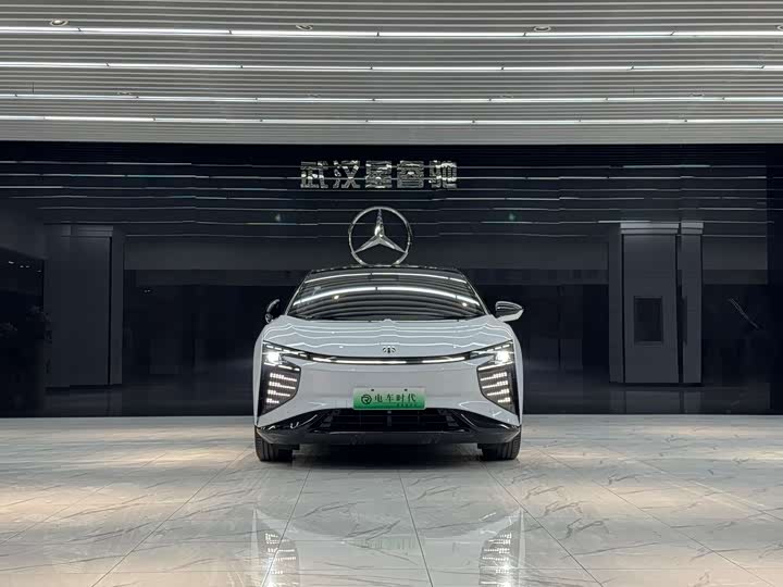 Фото 4 - HiPhi X