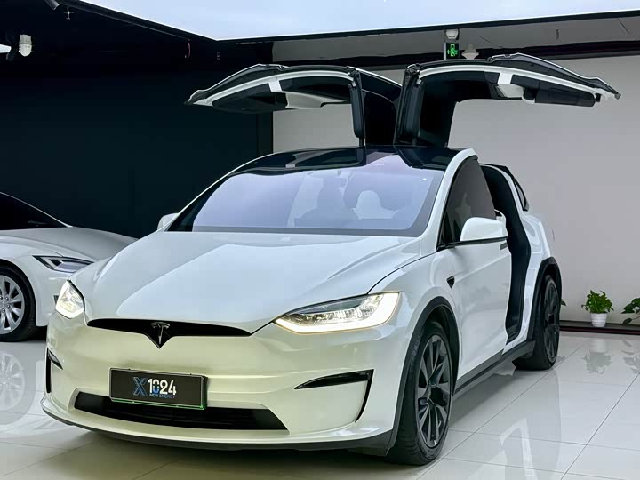 Фото 1 - Tesla Model X