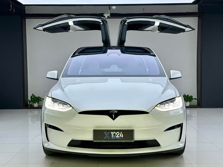 Фото 2 - Tesla Model X