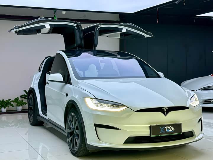 Фото 3 - Tesla Model X